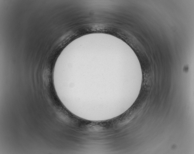 X0000116820648201001081418