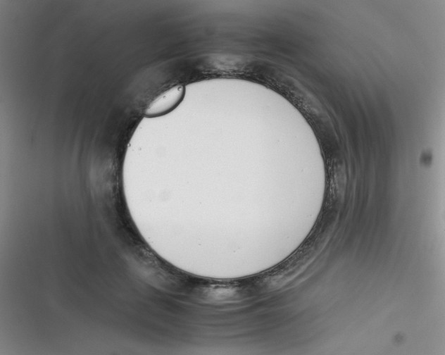 X0000116820651201001081418