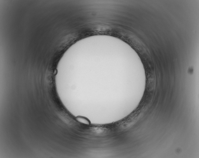 X0000116820654201001081418