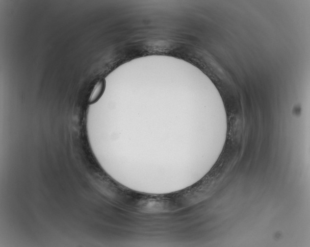 X0000116820655201001081418