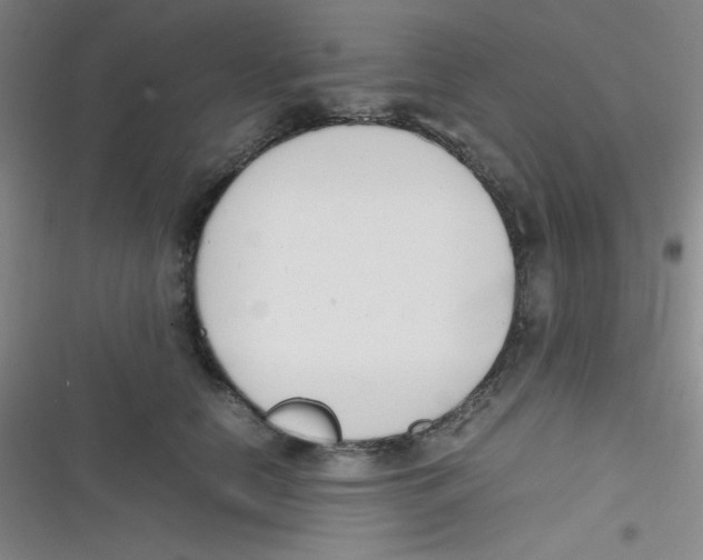 X0000116820658201001081418