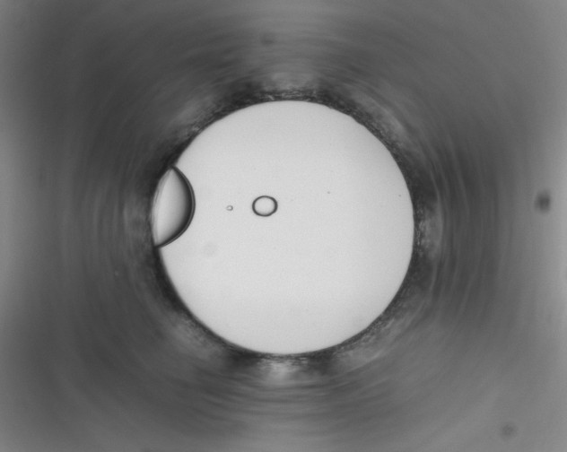 X0000116820662201001081418