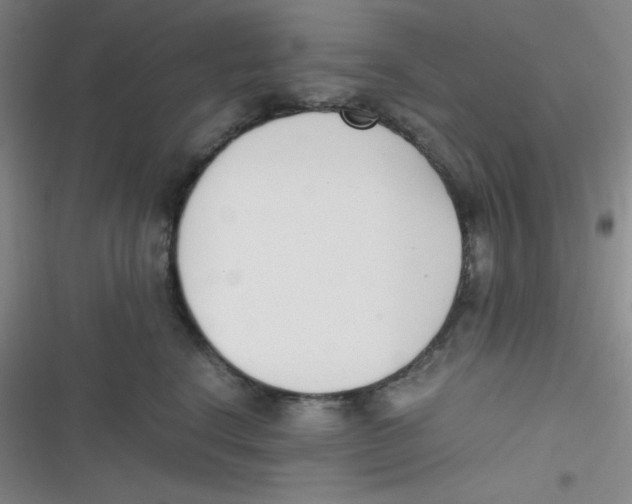 X0000116820664201001081418