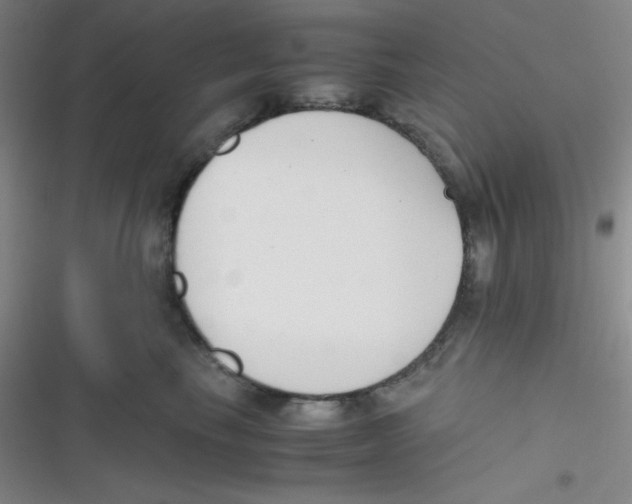 X0000116820665201001081418