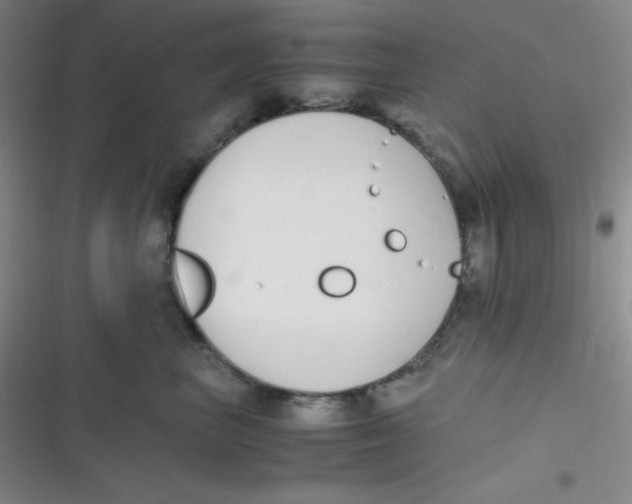 X0000116820667201001081418