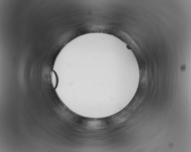 X0000116820669201001081418