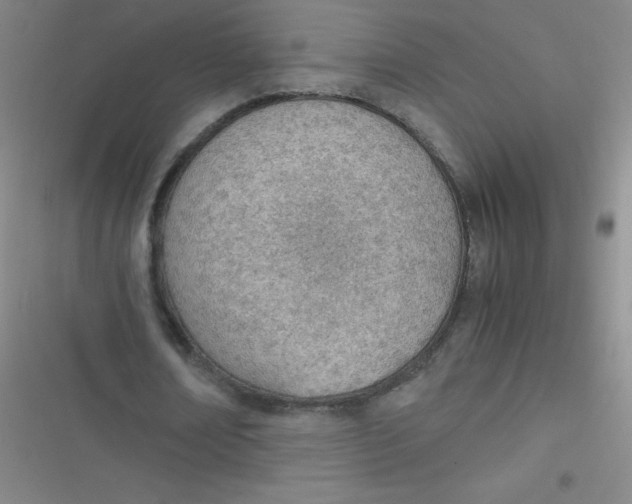 X0000116820674201001081417