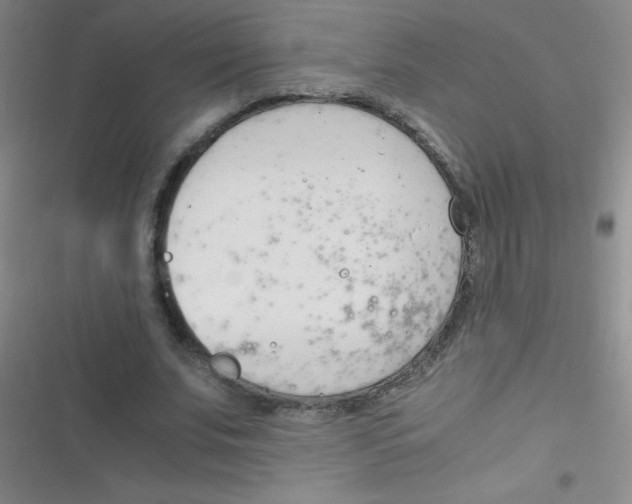 X0000116820679201001081417