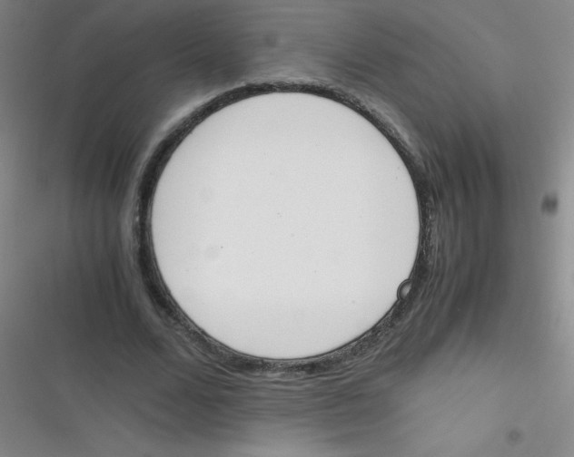 X0000116820680201001081417