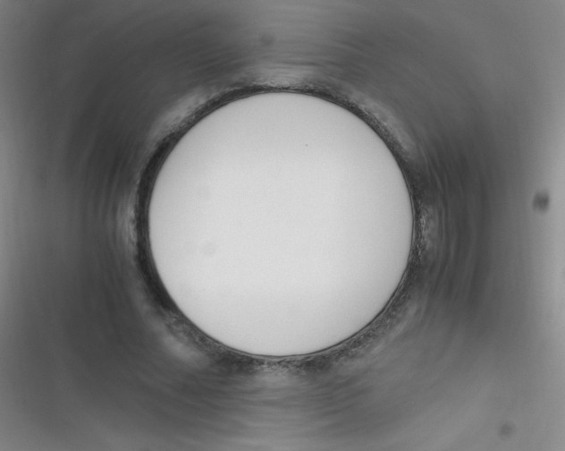 X0000116820682201001081417