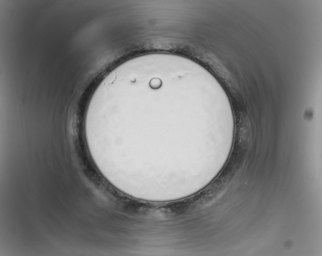 X0000116820683201001081417