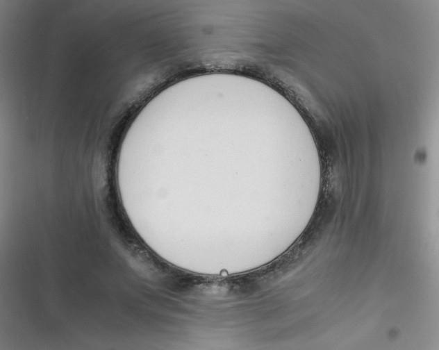 X0000116820687201001081417