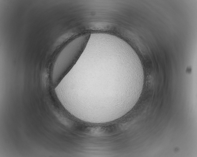 X0000116820688201001081417