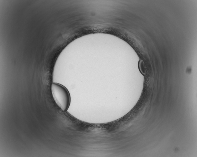 X0000116820689201001081417