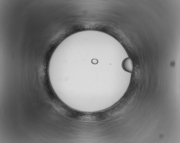 X0000116820691201001081417