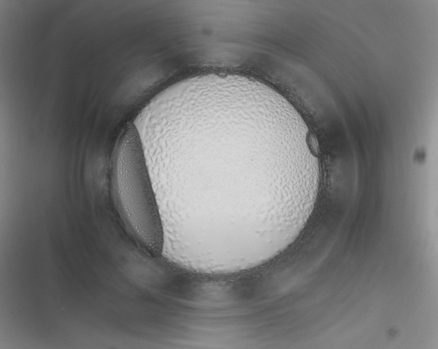 X0000116820692201001081417