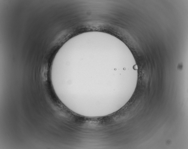 X0000116820694201001081417