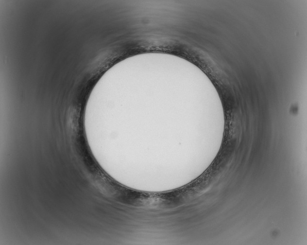 X0000116820695201001081417