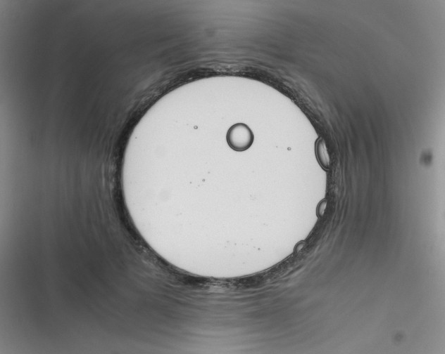 X0000116820697201001081417