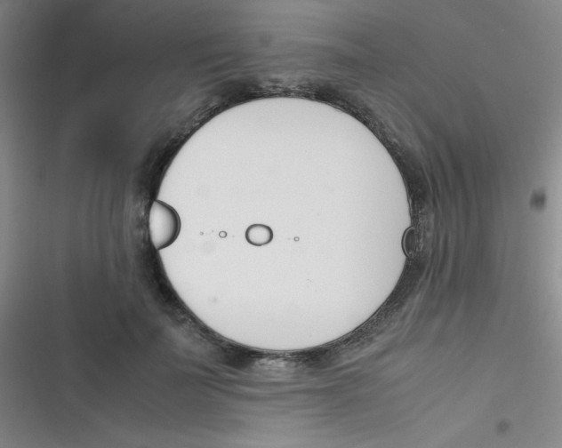 X0000116820699201001081417