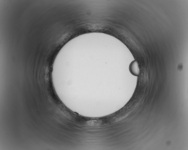 X0000116820700201001081417