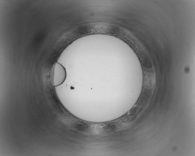 X0000116820701201001081417