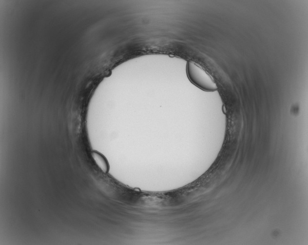 X0000116820703201001081417