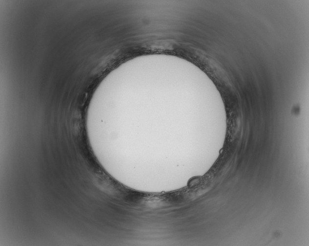 X0000116820704201001081417