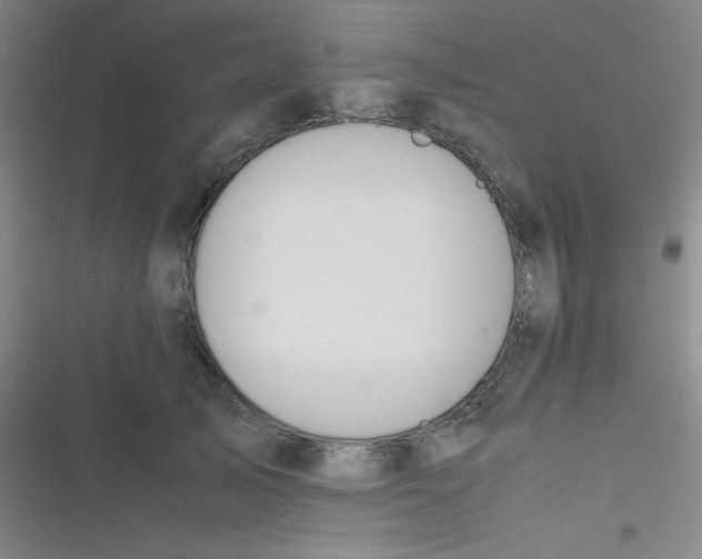 X0000116820705201001081417