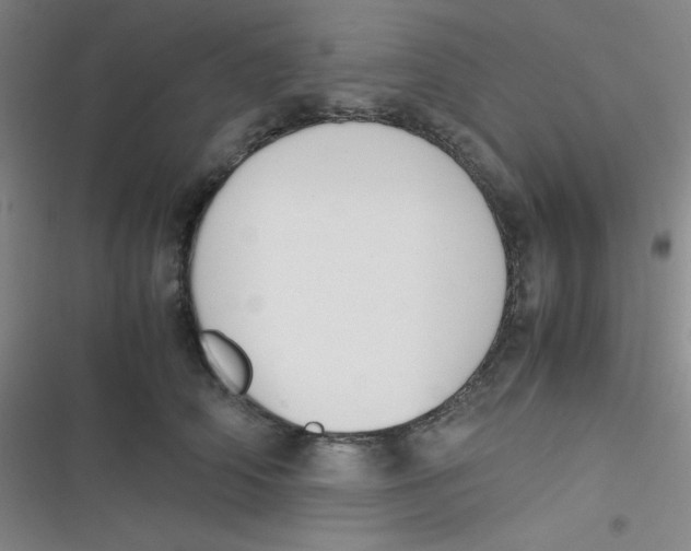 X0000116820706201001081417