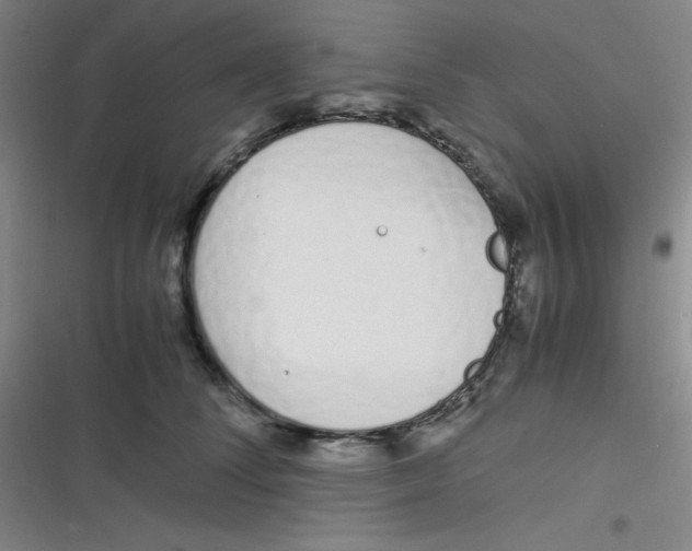 X0000116820708201001081417