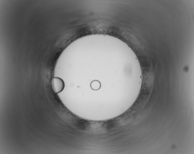 X0000116820709201001081417