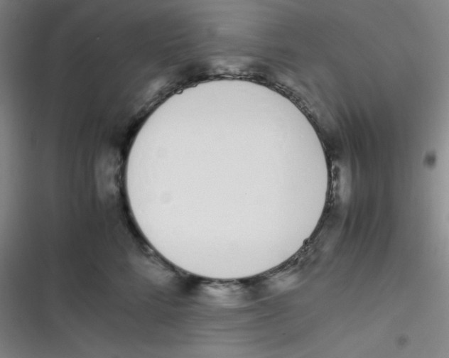 X0000116820712201001081417