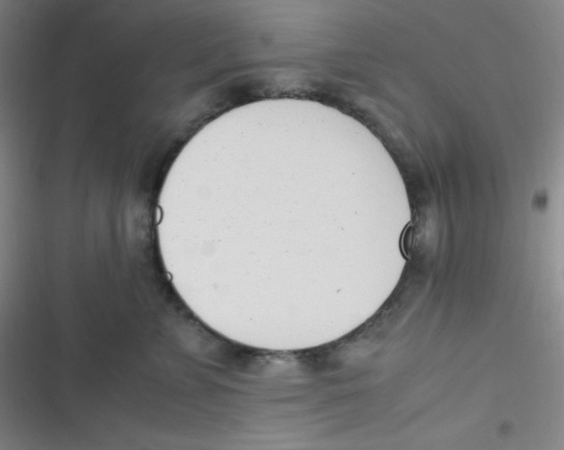 X0000116820715201001081417