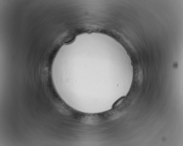 X0000116820716201001081417