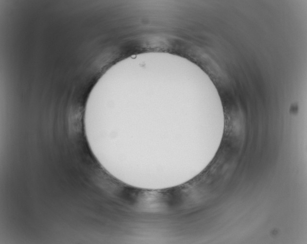 X0000116820717201001081417