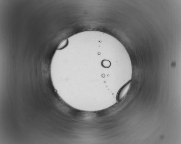 X0000116820719201001081417