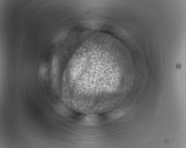 X0000116820720201001081417