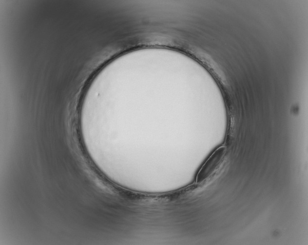 X0000116820721201001081416