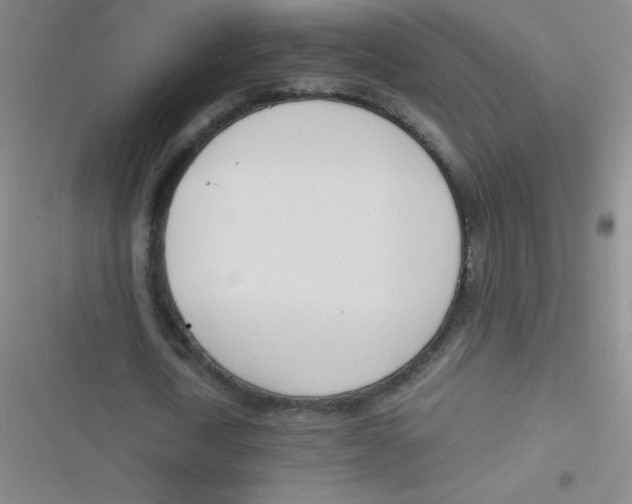 X0000116820722201001081416