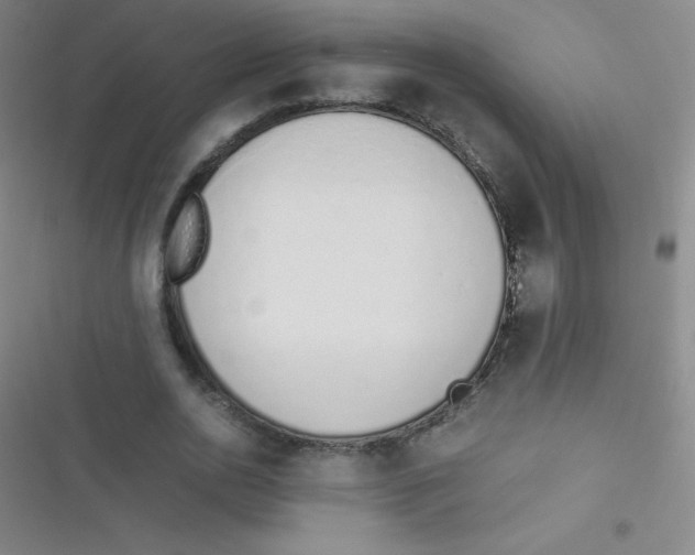 X0000116820726201001081416