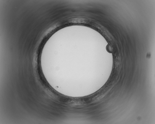 X0000116820727201001081416