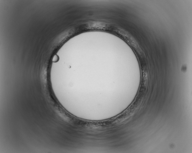 X0000116820729201001081416