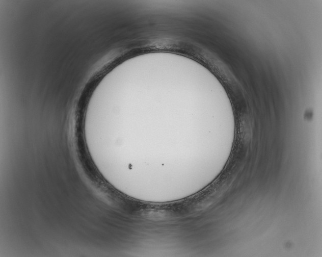 X0000116820730201001081416