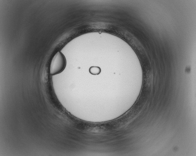 X0000116820731201001081416