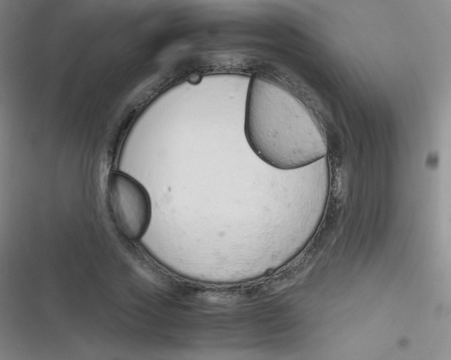 X0000116820733201001081416