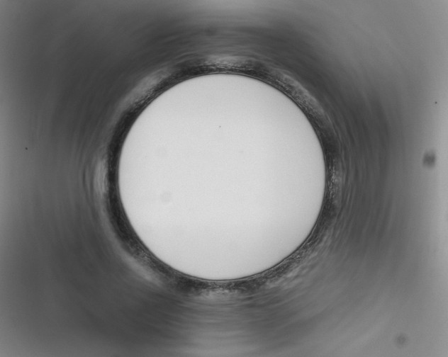 X0000116820734201001081416