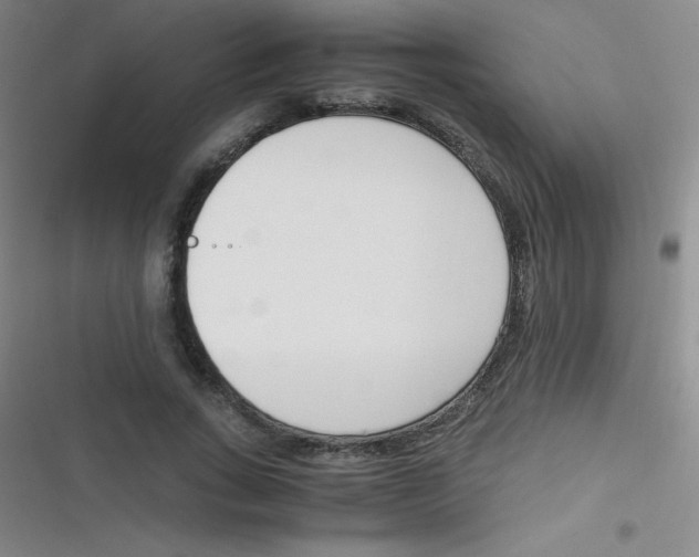 X0000116820735201001081416