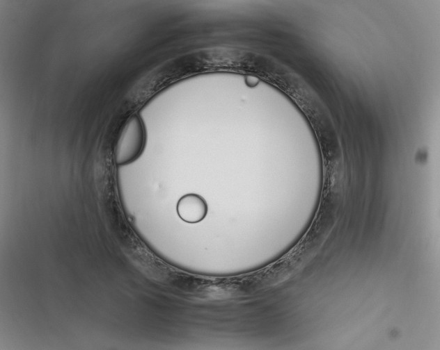 X0000116820737201001081416