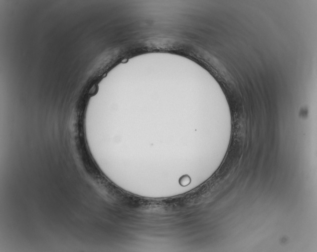 X0000116820738201001081416